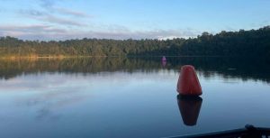 Read more about the article Lake Eacham – 17 May 2026